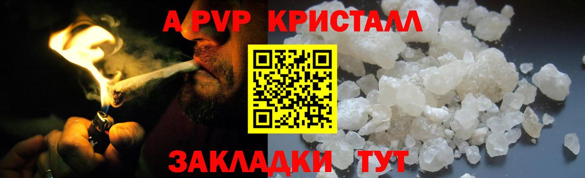 A-PVP СК КРИС Нижнекамск
