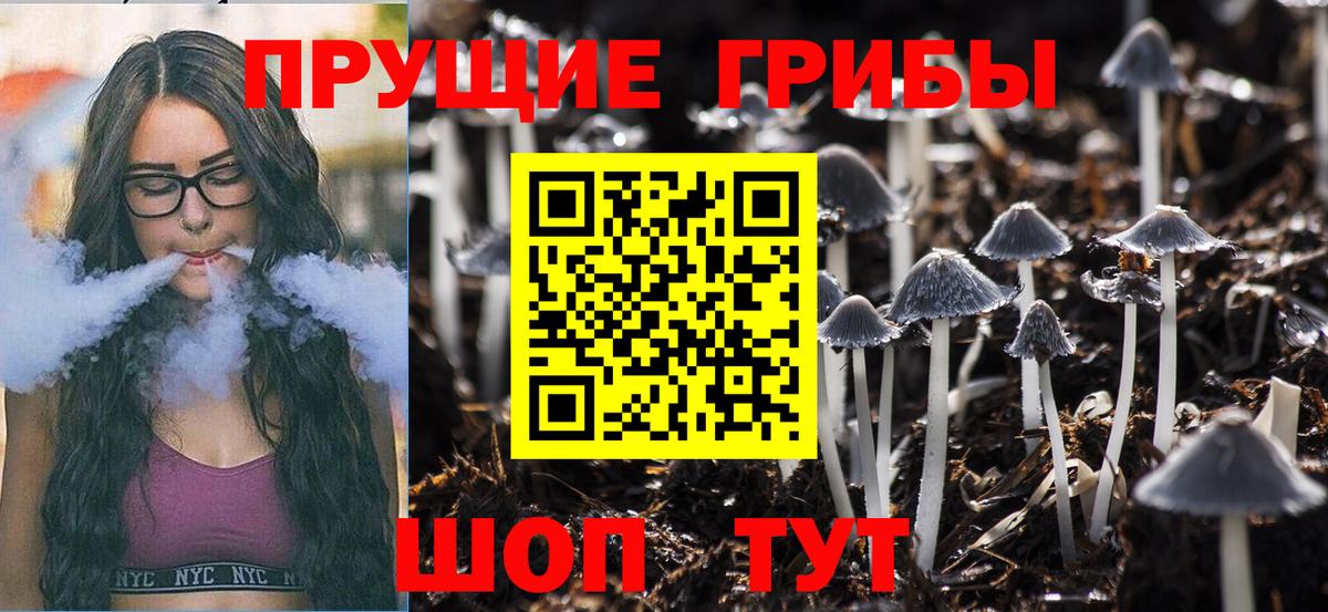 Нижнекамск  Галлюциногенные грибы GOLDEN TEACHER  Вход с VPN 