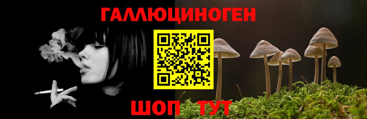 Псилоцибиновые грибы Psilocybe Нижнекамск
